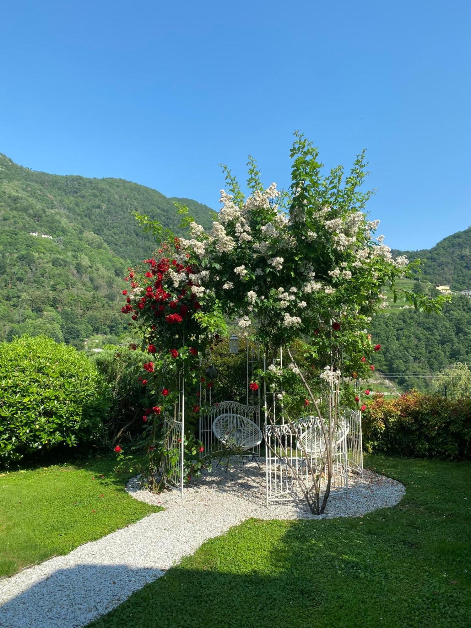 Bed And Breakfast Casa Del Nonno Adrara San Rocco Dış mekan fotoğraf